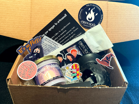Pack Regalo SECCIÓN PROHIBIDA - Harry Potter